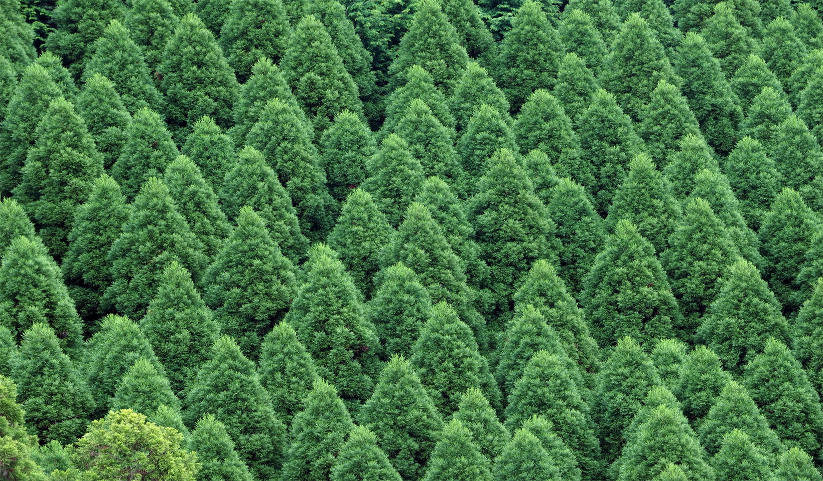 なぜ今、木造化・木質化に向かっているのか