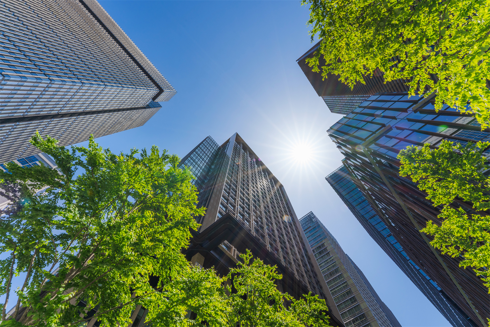 オフィス　木質化